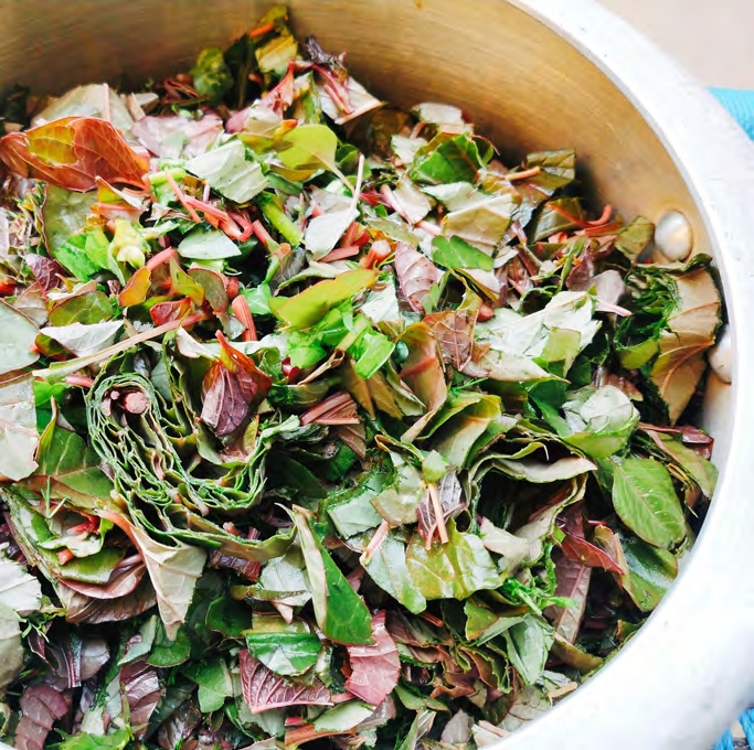 An herbed chicken salad served in a bowl.